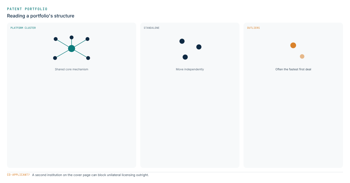 Diagram clustering a university patent portfolio into platform, standalone and outlier technologies